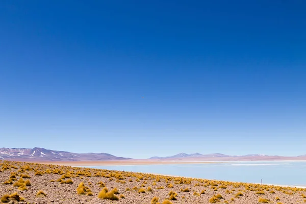 Bolivian lagoon landscape,Bolivia — Stock Photo, Image