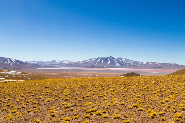 Laguna Colorada pohled, Bolívie — Stock fotografie