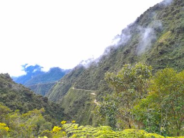 Ölüm yolu Coroico La Paz, Bolivya