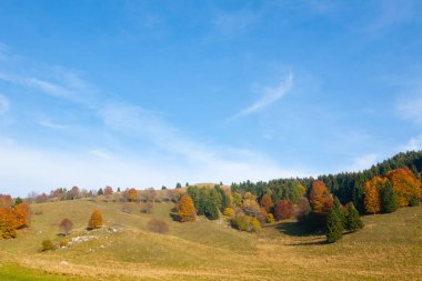 sonbahar dağ manzarası
