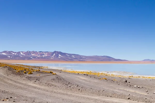 Paisagem da lagoa boliviana, Bolívia — Fotografia de Stock