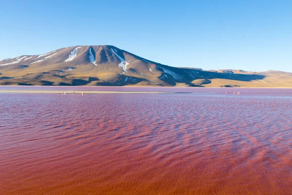 Laguna Κολοράντα προβολή, Βολιβία — Φωτογραφία Αρχείου