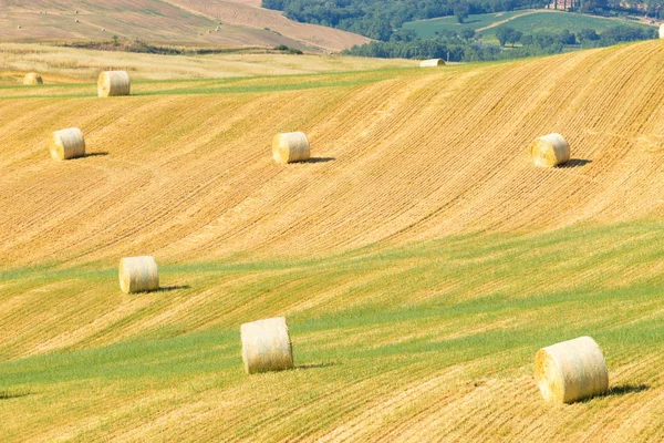 Toskana tepeleri manzarası, İtalya — Stok fotoğraf