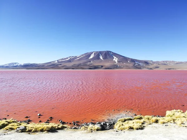 Laguna Κολοράντα θέα, Βολιβία. Βολιβίας τοπίο — Φωτογραφία Αρχείου