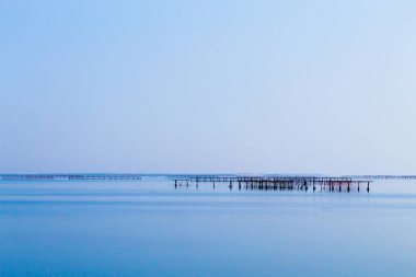Po Nehri lagün, İtalya tarım kabuklu deniz ürünleri