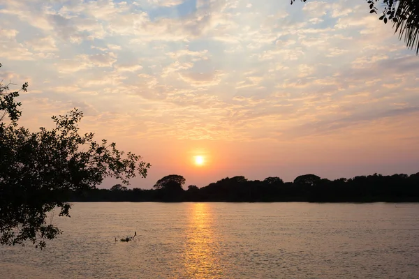 Pôr do sol do Pantanal, Brasil — Fotografia de Stock