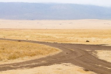 Tanzanya 'nın Ngorongoro kraterindeki toprak yol.