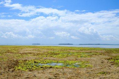 Zanzibar plaj manzarası, Tanzanya, Afrika panoraması