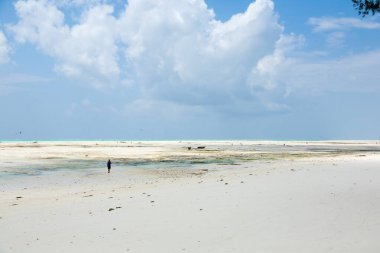 Zanzibar beyaz kumsal manzarası, Tanzanya, Afrika panoraması
