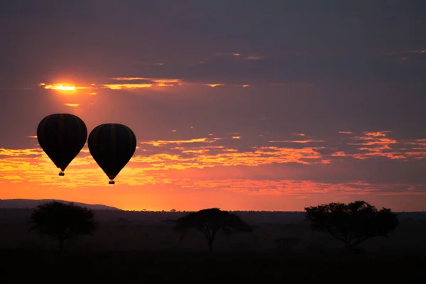 Dawn i Serengeti nationalpark, Tanzania, Afrika — Stockfoto
