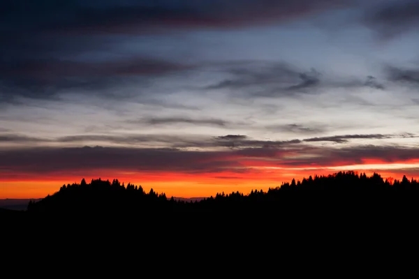 Dramatischer roter Himmel über dunklem Wald — Stockfoto