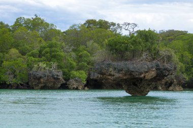 Menai Körfezi manzarası, Tanzanya, Afrika panoraması