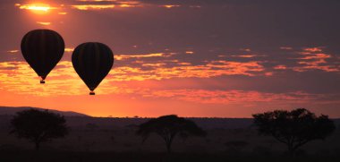 Serengeti Milli Parkı, Tanzanya, Afrika 'da şafak vakti