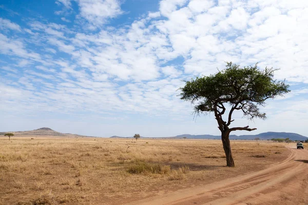 Krajobraz Parku Narodowego Serengeti, Tanzania, Afryka — Zdjęcie stockowe