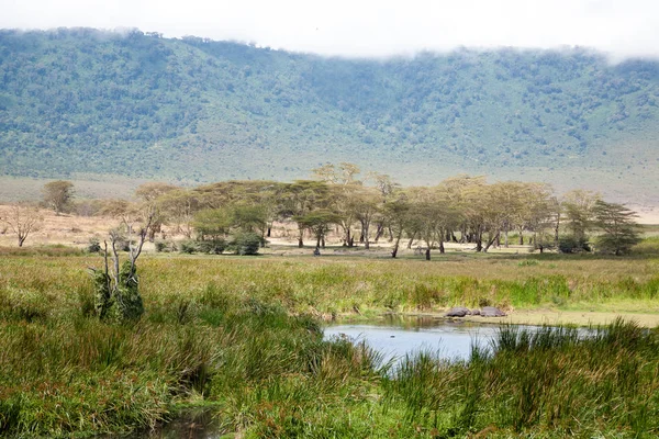 Ngorongoro cráter hermoso paisaje, Tanzania, África —  Fotos de Stock