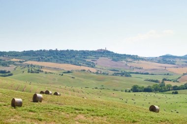 Tuscany hills panorama yaz görünümü, İtalyan peyzaj