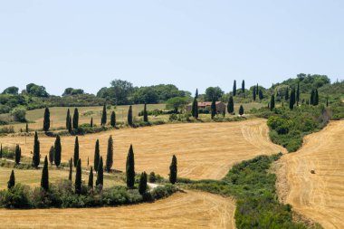 Tuscany hills panorama yaz görünümü, İtalyan peyzaj