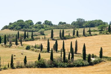 Tuscany hills panorama yaz görünümü, İtalyan peyzaj