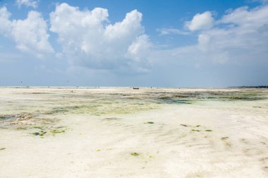 Zanzibar beyaz kumsal manzarası, Tanzanya, Afrika panoraması