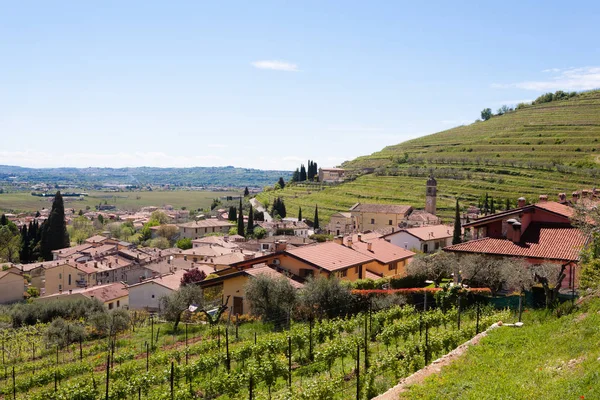 Valpolicella Hills landscape, Italiaanse wijnbouw en omgeving, Italië — Stockfoto