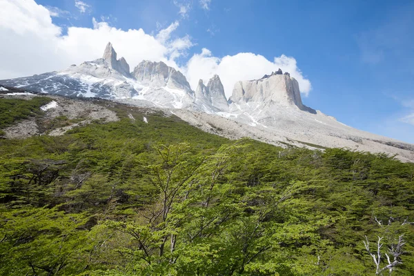 Franska Valley landskapet, Torres del Paine, Chile — Stockfoto