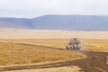 Tanzanya 'nın Ngorongoro kraterindeki toprak yol. Ngorongoro Koruma Alanı, Afrika