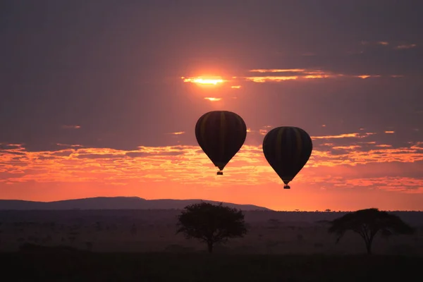 Dawn Serengeti National Park Tanzania Africa Hot Air Balloons Sky Royalty Free Stock Photos