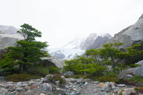 Piedras Blancas Uitzicht Gletsjer Nationaal Park Los Glaciares Chalten Patagonië — Stockfoto