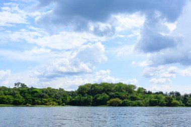 Amazon yağmur ormanlarından Panorama, Brezilya 'nın sulak arazisi. Yönlendirilebilir göl. Güney Amerika dönüm noktası. Amazonia