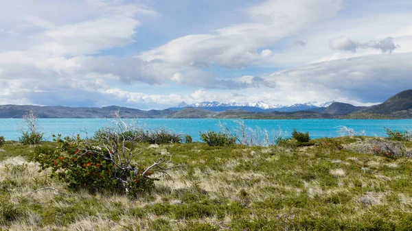 智利Torres Del Paine国家公园Pehoe湖景观 智利巴塔哥尼亚景观 — 图库照片