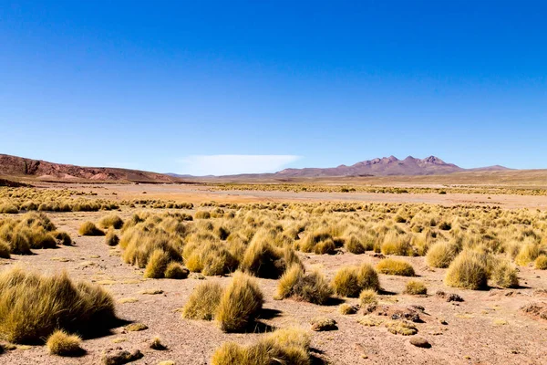 Paysage Montagneux Bolivien Bolivie Vue Sur Plateau Andin — Photo