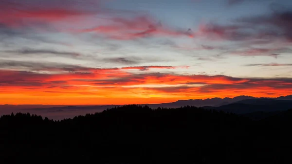 Dramatischer Roter Himmel Über Dunklem Wald Dunkellandschaft — Stockfoto