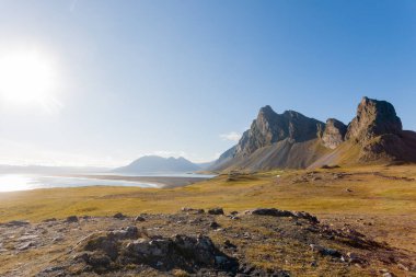 Hvalnes lav plajı manzarası, doğu İzlanda. İzlanda manzarası
