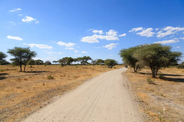 Αφρικανικό Σαφάρι Χωματόδρομος Στο Εθνικό Πάρκο Tarangire Τανζανία Τοπίο Αφρική — Φωτογραφία Αρχείου