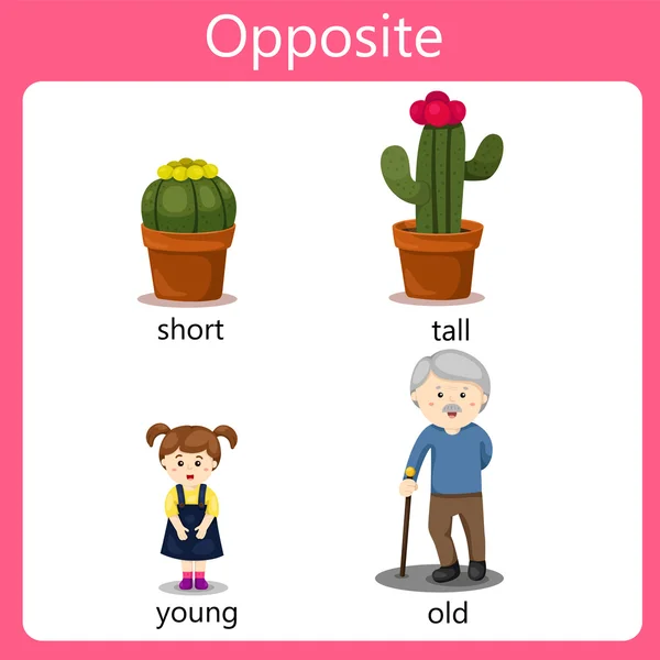 Yaşlı ve genç Illustrator ters ayarla