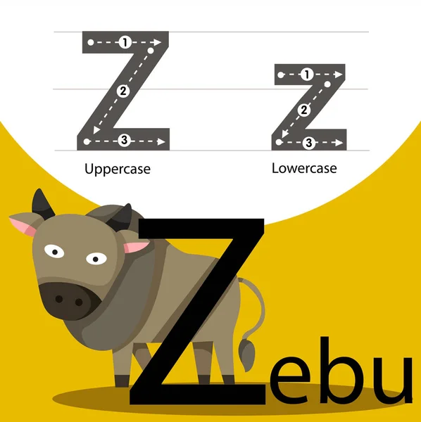 Illustrator of zebu with z font — Stock Vector