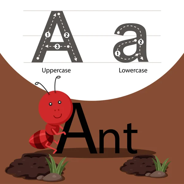蚂蚁与字体的插画 — 图库矢量图片