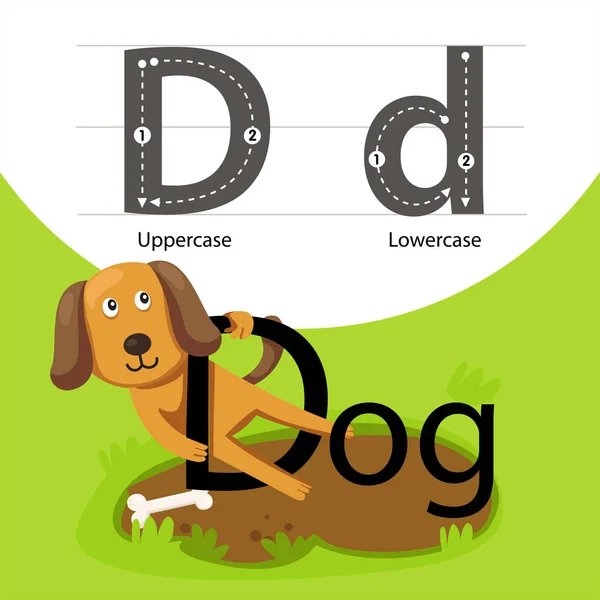 Illustrator of dog with d font — Stock Vector