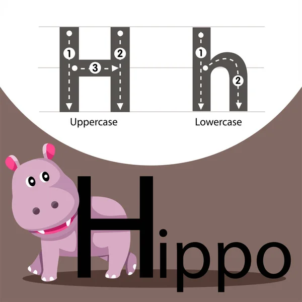Illustrator of hippo with h font — Stock Vector