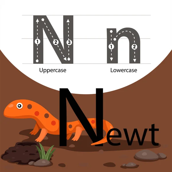 Ilustrador de newt com n fonte —  Vetores de Stock