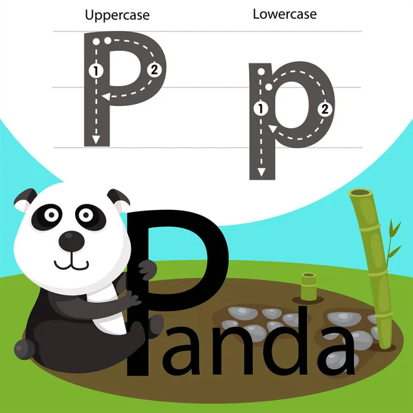 Illustratören av panda med p teckensnitt — Stock vektor