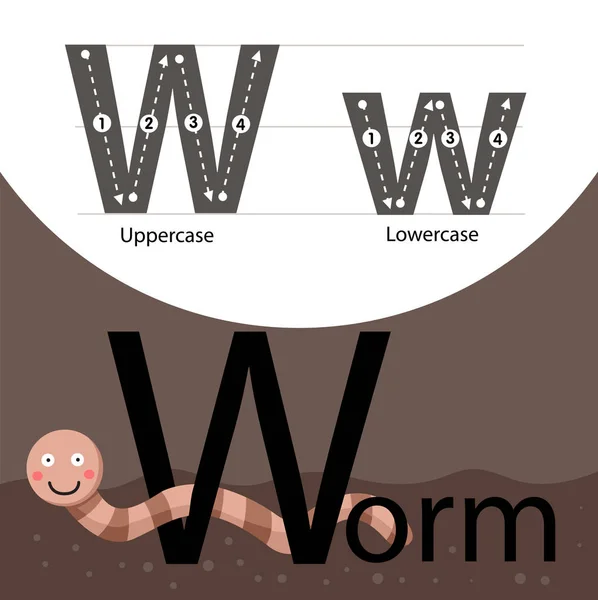 Illustrator of worm with w font — Stock Vector