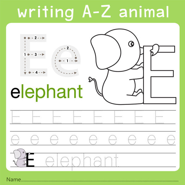 Illustrator of writing a-z animal e