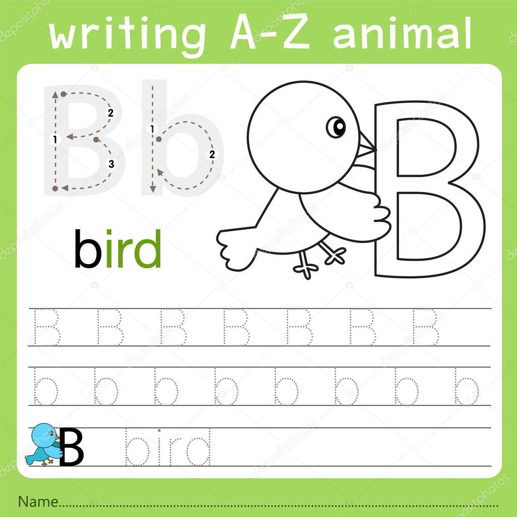Illustrator of writing a-z animal b
