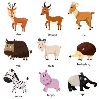 Illustrator Hayvanat Bahçesi hayvan iki ayarla