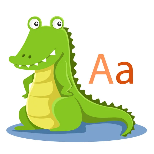 Alphabet Vector Animal Kid — Stock Vector