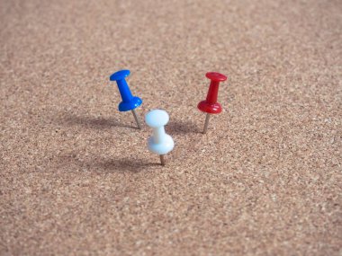 mantar pano iğneleri.