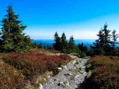 Jeseniky mountains, Çek Cumhuriyeti 