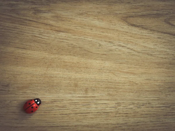 Decoración de mariquitas sobre fondo de madera . — Foto de Stock