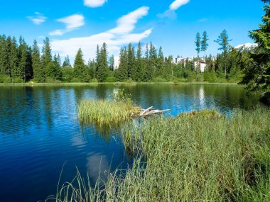 Lake yeni Strbske pleso Tatras dağlarda.